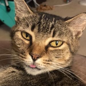 Meet your Posher, Marcy